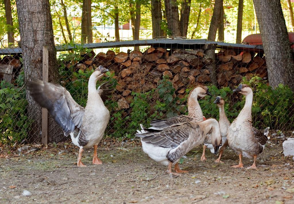 Ziolowa Dolina Olsztyn  Buitenkant foto