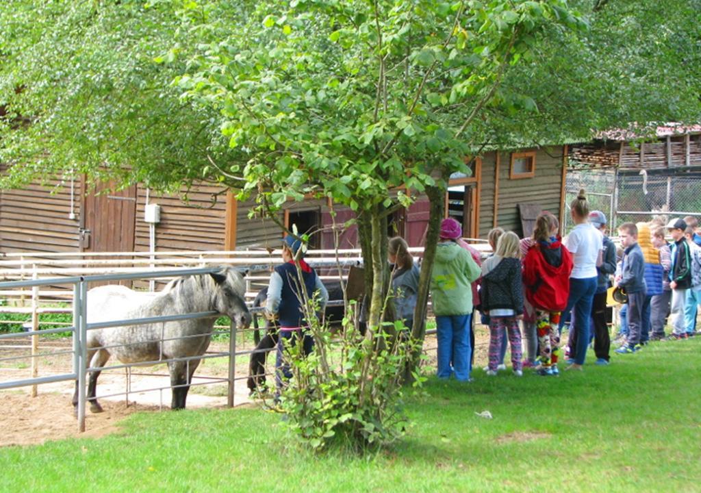 Ziolowa Dolina Olsztyn  Buitenkant foto