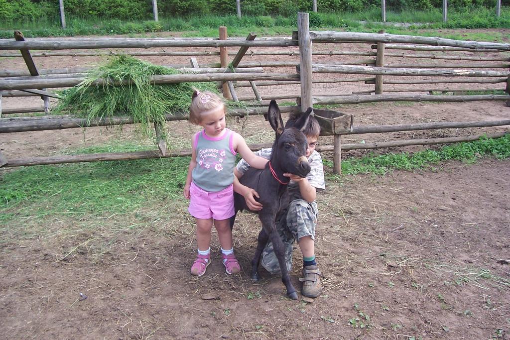 Ziolowa Dolina Olsztyn  Buitenkant foto