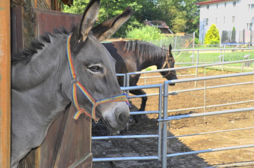 Ziolowa Dolina Olsztyn  Buitenkant foto