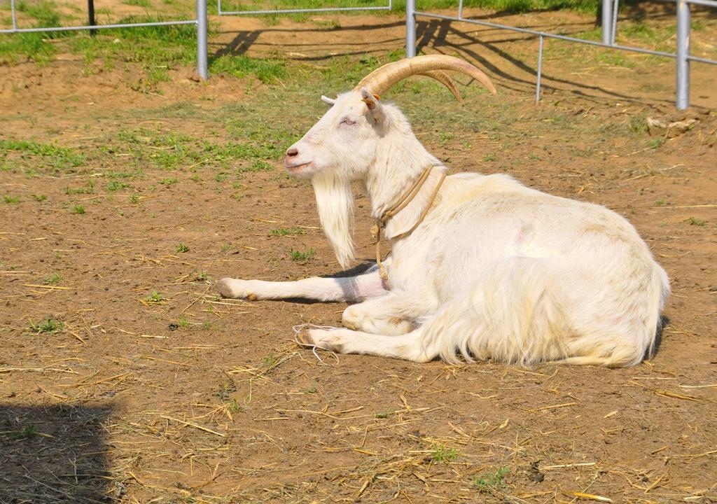 Ziolowa Dolina Olsztyn  Buitenkant foto